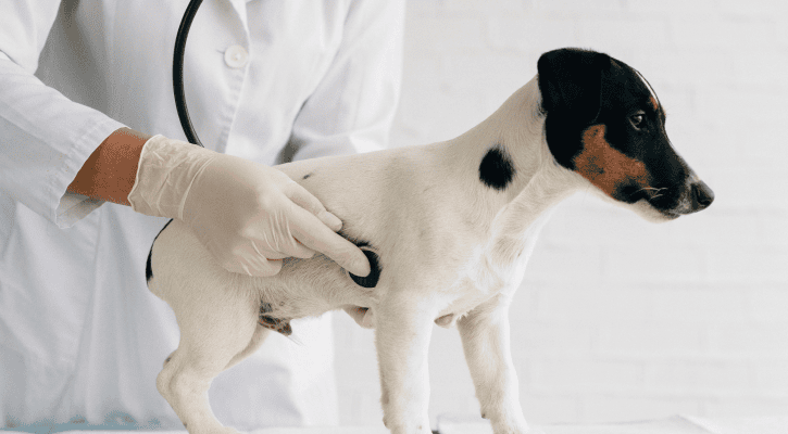 Diagnostics